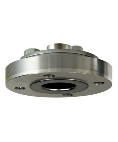 DCS205 Flange end blind hole  diaphragm seal