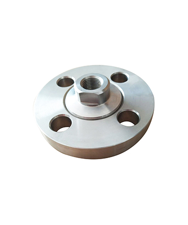 DCS202 Adjustable flange end  diaphragm seal